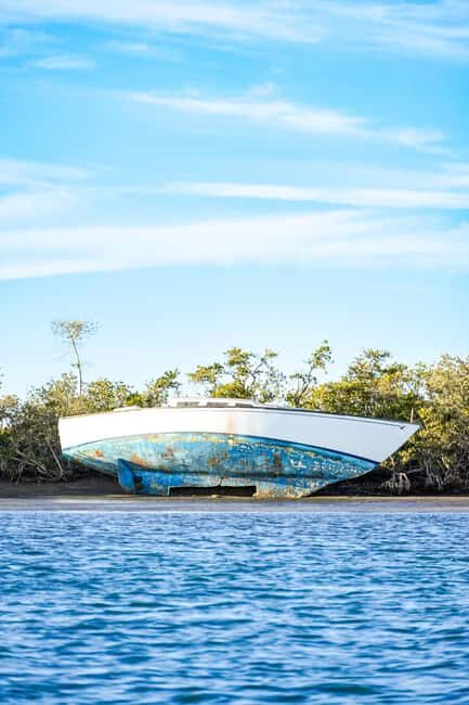 Sea Kayak Tour - Mangrove Safari - What’s Included and What You Should Bring