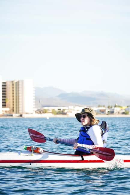 Sea Kayak Tour - Mangrove Safari - The Sum Up