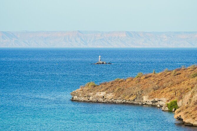 Sea Kayak Tour Marine Safari - Introduction