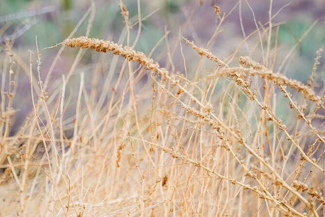 Sea Kayak Tour Marine Safari - Who Will Love This Tour?