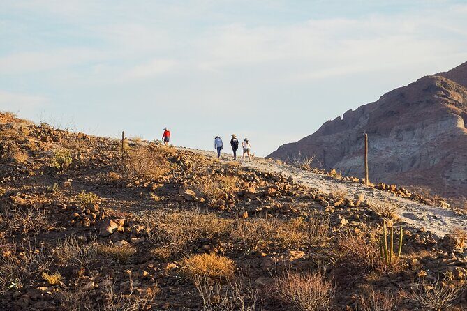 Sea Kayak Tour Marine Safari - The Sum Up