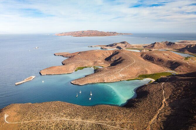 Sea Kayak Tour Marine Safari - FAQ