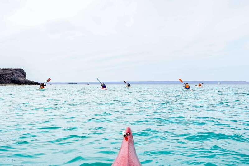 Sea Kayak Tour - Marine Safari - What’s Included and What’s Not