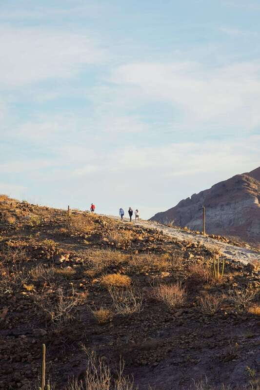 Sea Kayak Tour - Marine Safari - Why This Tour Is Worth Considering