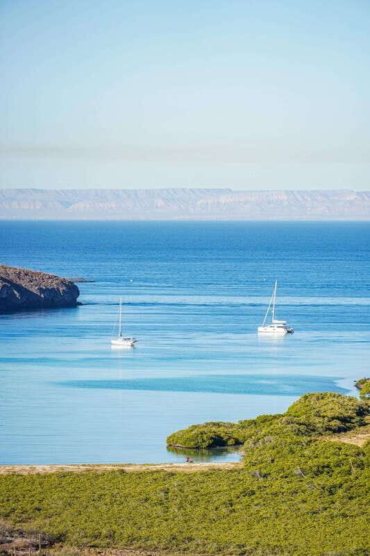 Sea Kayak Tour - Marine Safari - Who Should Book This Tour?