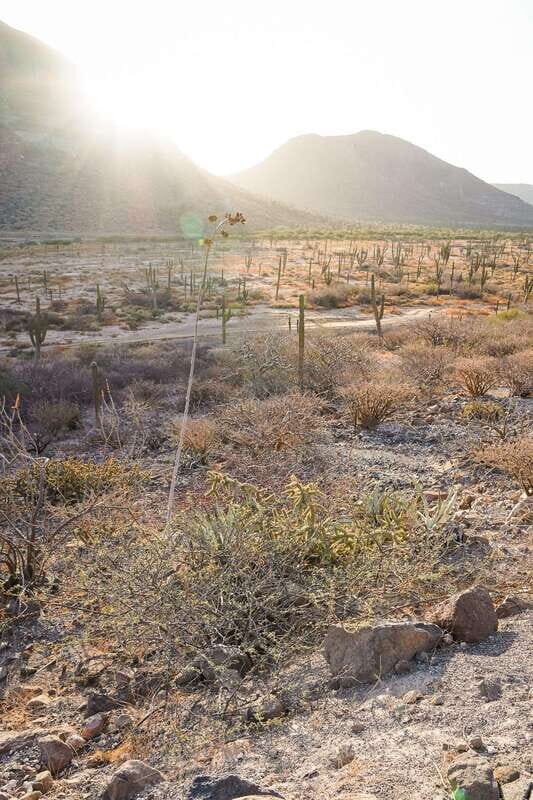 Sea Kayak Tour - Marine Safari - FAQ