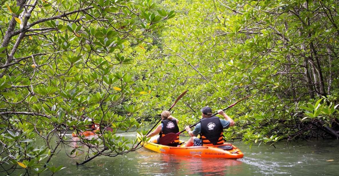 Sea Kayaking in Ao Thalane & Optional Full-Day Hong Island - What to Bring