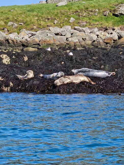 Sea kayaking Killiney beach to Dalkey Island with Pictures - What Makes the Kayaking Route Special?
