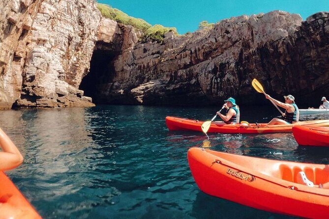 Sea Kayaking Safari Dubrovnik - Who Will Love This Tour?
