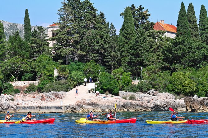 Sea Kayaking & Snorkeling With Fruit Snack & Water - Weather Considerations