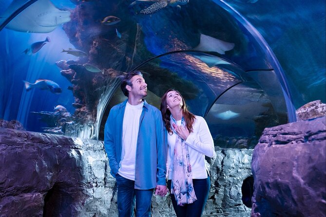 SEA LIFE Aquarium Minnesota Admission Ticket at Mall of America - Educational Experiences and Animal Feedings