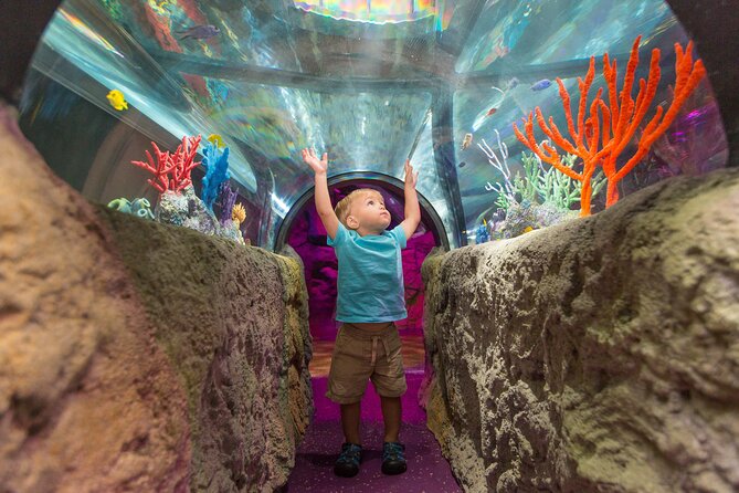 SEA LIFE Aquarium Minnesota Admission Ticket at Mall of America - Positive Visitor Feedback