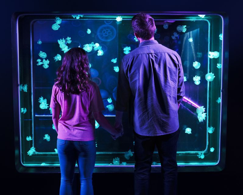 SEA LIFE Arizona Aquarium General Admission - Exhibits and Attractions