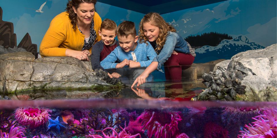 SEA LIFE Arizona Aquarium General Admission - Location and Directions