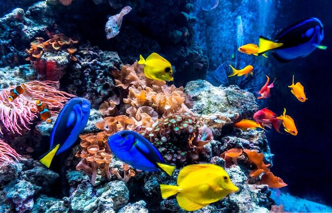 SEA LIFE Berlin Admission Ticket - Good To Know