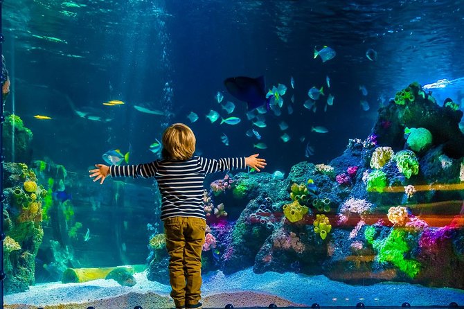 SEA LIFE Berlin Admission Ticket - Visitor Experience and Accessibility