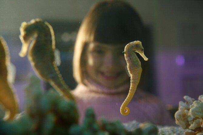 SEA LIFE Berlin Admission Ticket - Nearby Attractions and Transportation