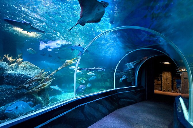 SEA LIFE Berlin Admission Ticket - Anticipated Waiting Times