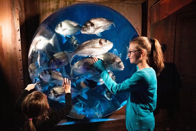 SEA LIFE Berlin Admission Ticket - Educational and Entertaining Exhibits