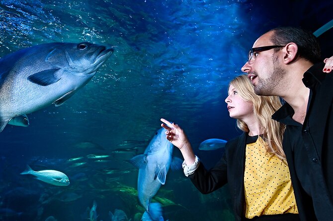 SEA LIFE Berlin Admission Ticket - Mixed Visitor Feedback and Reviews