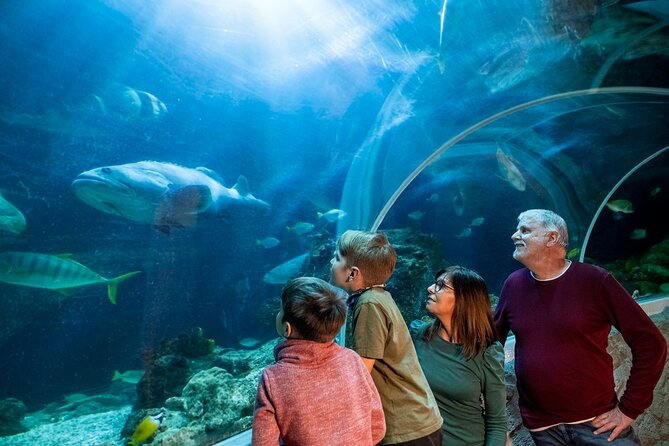 SEA LIFE Berlin Admission Ticket - Operational Hours and Restrictions