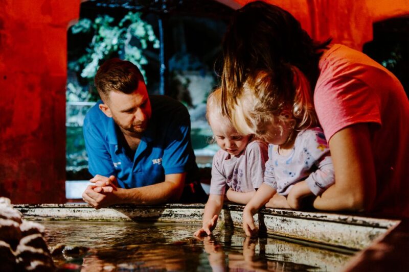 Sea Life Brighton Admission Ticket - Highlights of the Experience