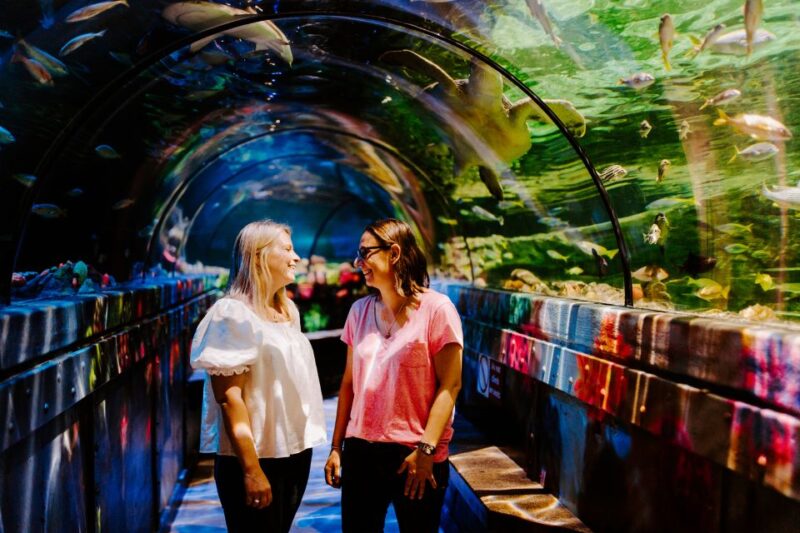 Sea Life Brighton Admission Ticket - Visitor Age and Accessibility