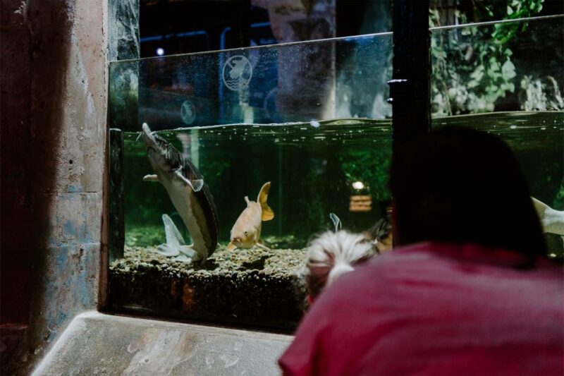 Sea Life Brighton Admission Ticket - Prohibited Items and Quieter Visits