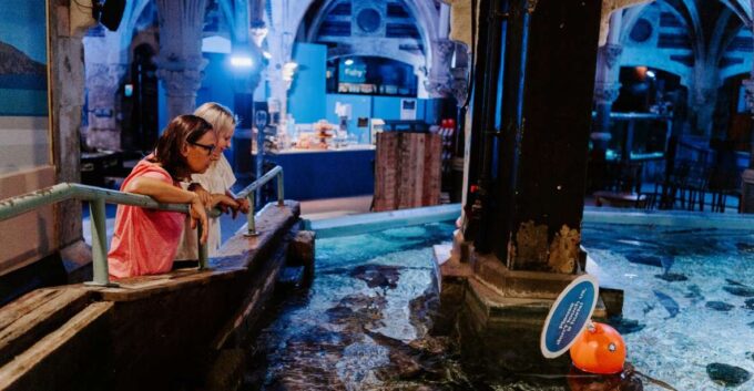 Sea Life Brighton Admission Ticket - Additional Important Information