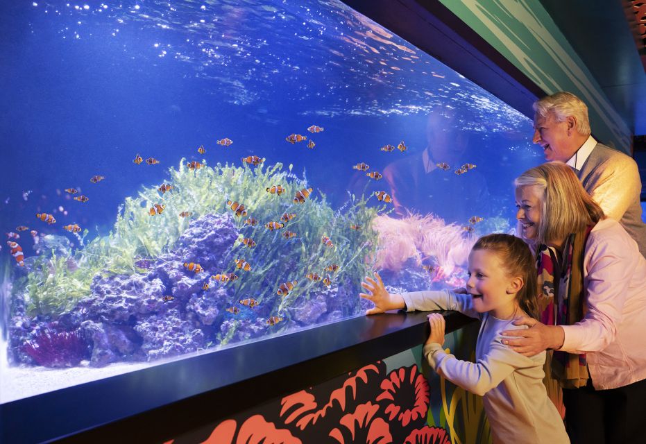 SEA LIFE Charlotte-Concord Aquarium General Admission - Booking and Cancellation