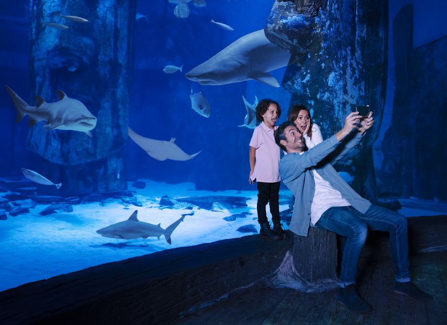 SEA LIFE Charlotte-Concord Aquarium General Admission - Attraction Highlights