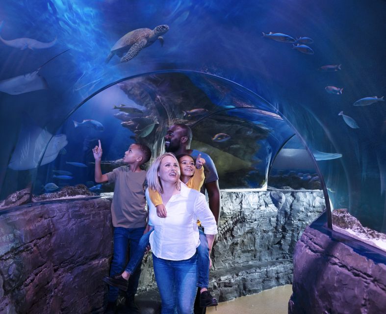 SEA LIFE Charlotte-Concord Aquarium General Admission - Included