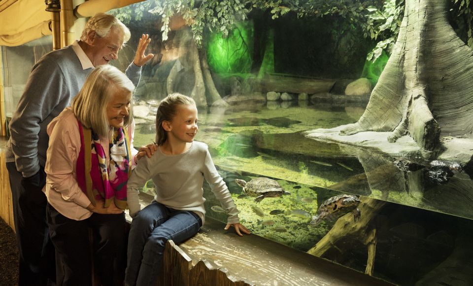 SEA LIFE Charlotte-Concord Aquarium General Admission - Tropical Ocean Exhibit