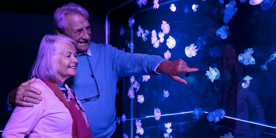 SEA LIFE Charlotte-Concord Aquarium General Admission - Conservation Cove