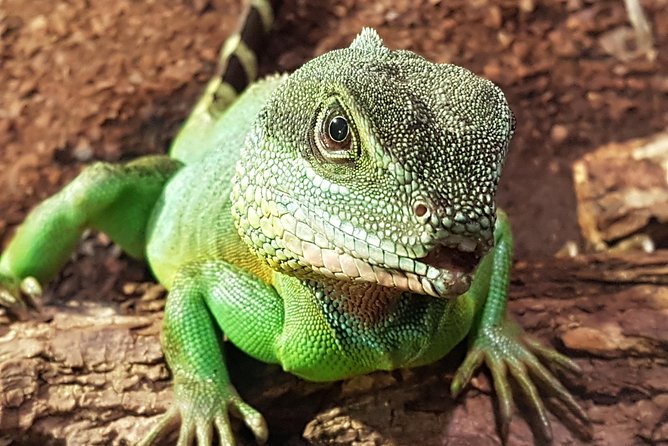 SEA LIFE Hannover Ticket - Location and Directions