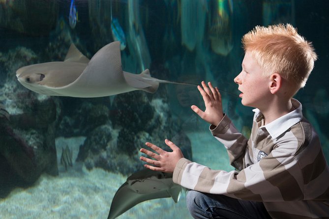 SEA LIFE Hannover Ticket - Reviews and Customer Feedback
