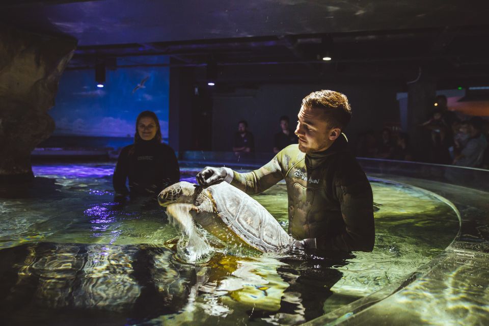 Sea Life Kelly Tarltons Aquarium General Admission - Experience Highlights