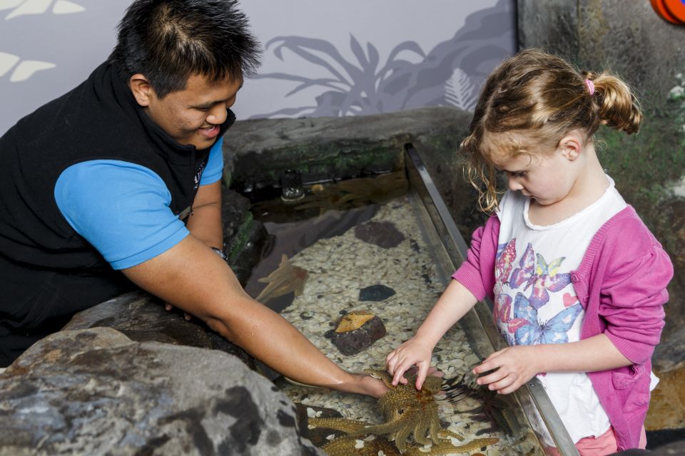 Sea Life Kelly Tarltons Aquarium General Admission - Pricing Information