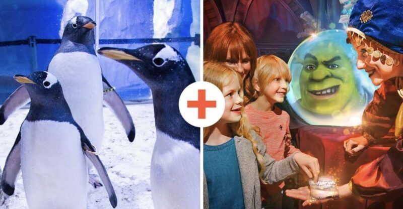 SEA LIFE London & DreamWorks Shreks Adventure: Combo Ticket - Good To Know