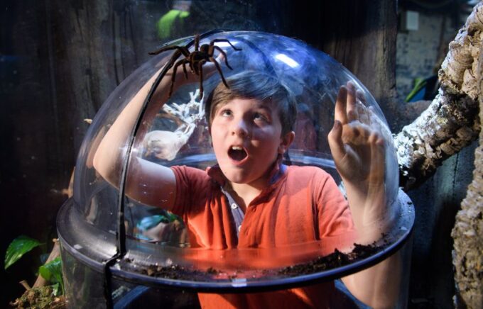 SEA LIFE London & DreamWorks Shreks Adventure: Combo Ticket - Booking and Cancellation Policies
