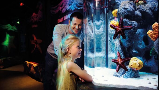 SEA LIFE London & DreamWorks Shreks Adventure: Combo Ticket - Accessibility Options