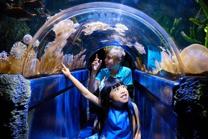 SEA LIFE Melbourne Aquarium Admission Ticket - Overview of What You Can Expect