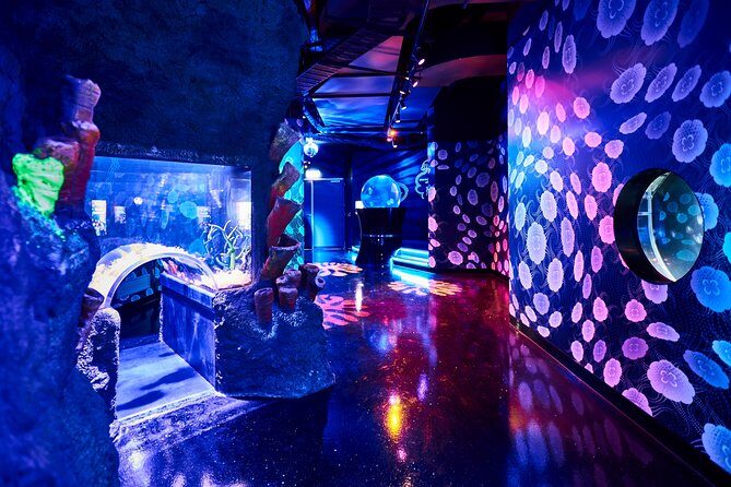 SEA LIFE Melbourne Aquarium Admission Ticket - The Itinerary in Detail