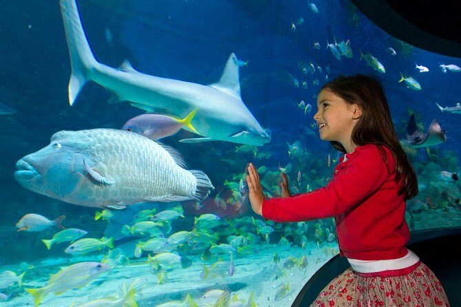 SEA LIFE Melbourne Aquarium Admission Ticket - Authentic Feedback from Visitors