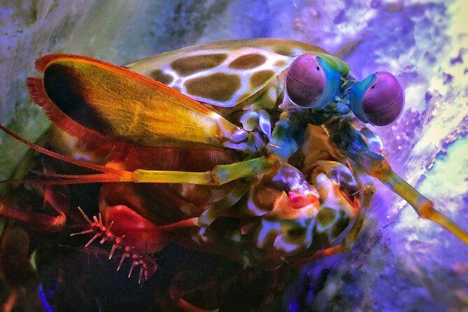 SEA LIFE Michigan Aquarium Admission Ticket - Visitor Experiences