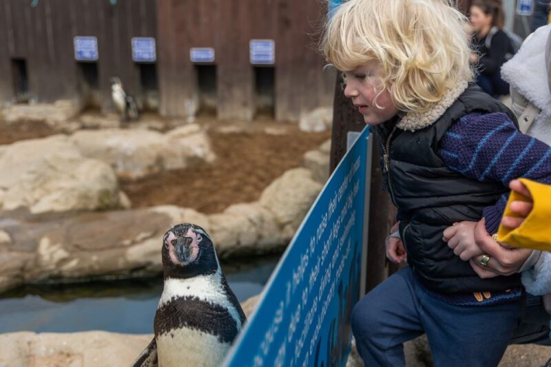 Sea Life Scarborough - Good To Know