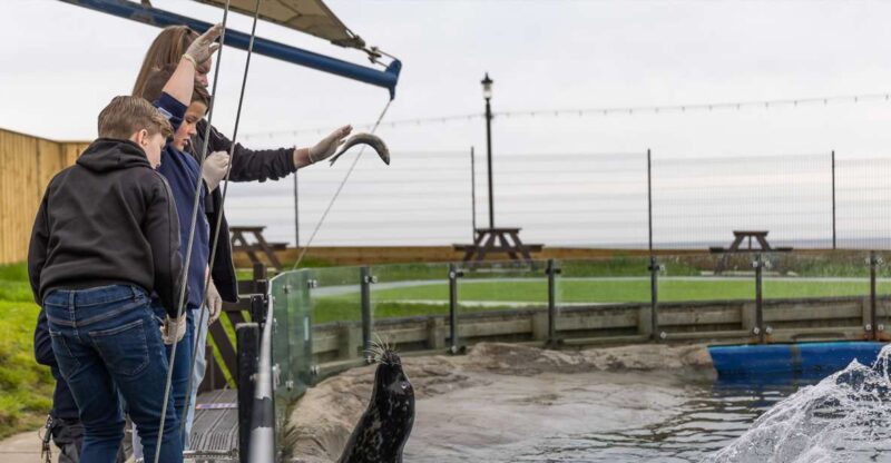 Sea Life Scarborough - Attractions and Experiences