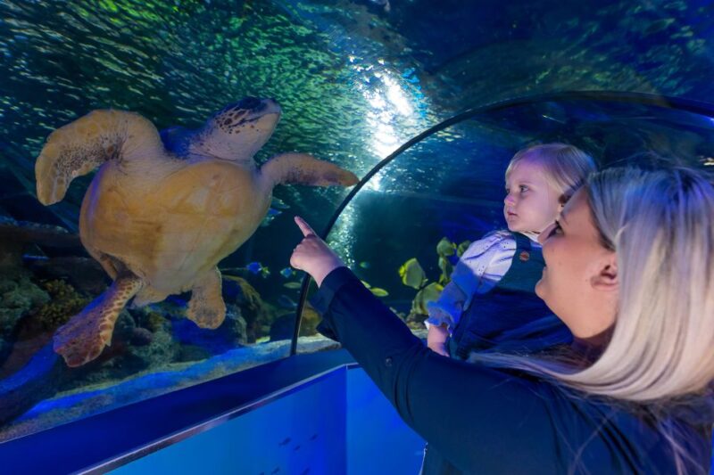Sea Life Scarborough - Educational Focus