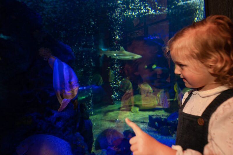 Sea Life Scarborough - Visitor Guidelines
