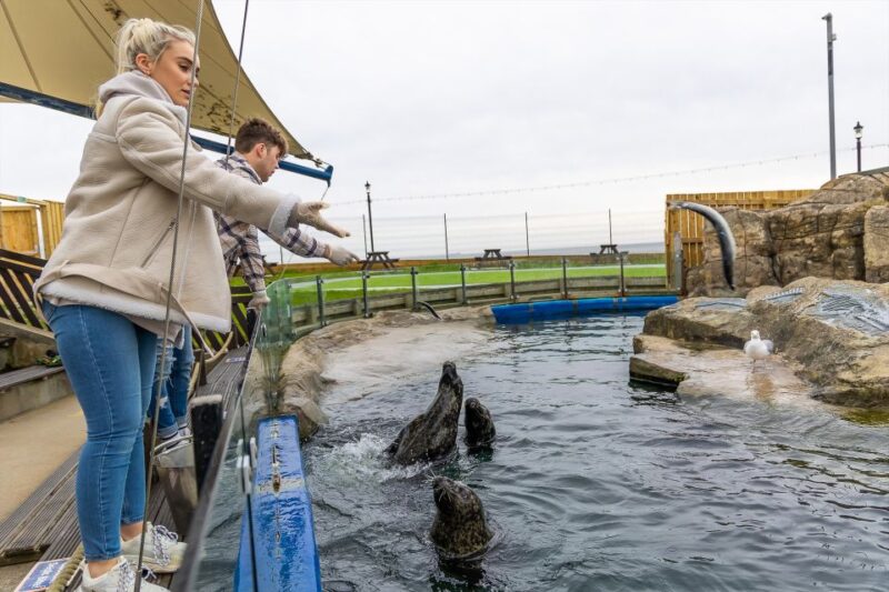 Sea Life Scarborough - Location and Accessibility